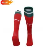 2025 Portugal Home Football Socks 1:1 Thai Quality