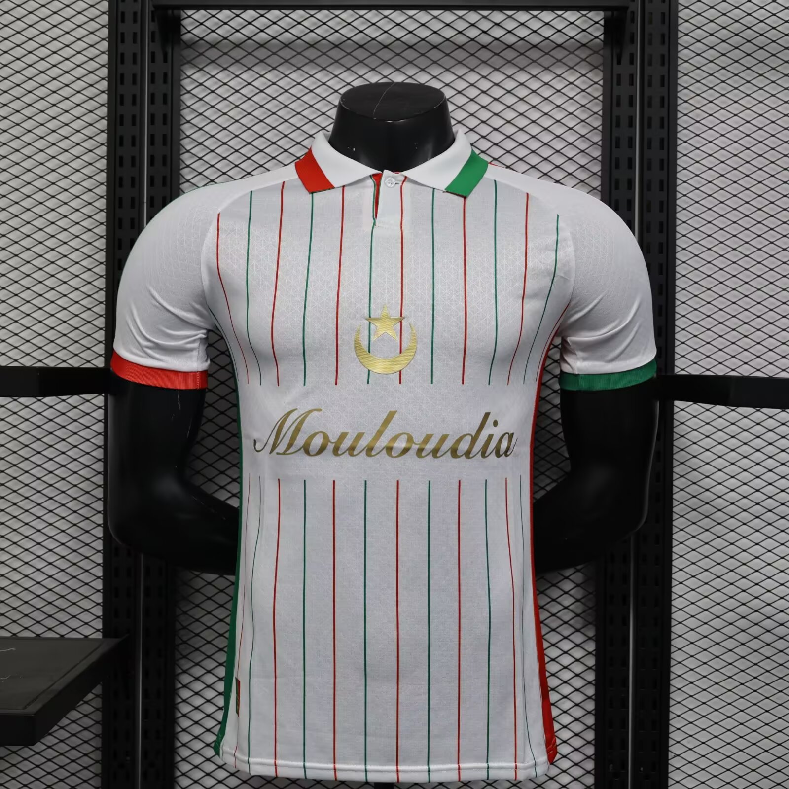 2025/2026 Player Version Palestine Special Edition Football Shirt 1:1 Thai Quality