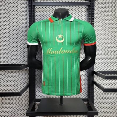 2025/2026 Player Version Palestine Special Edition Football Shirt 1:1 Thai Quality