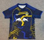 2025/2026 Leeds United Special Edition Football Shirt 1:1 Thai Quality