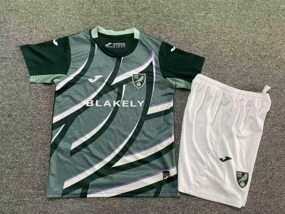 2025/2026 Norwich City Away Football Shirt Kids Size 1:1 Thai Quality
