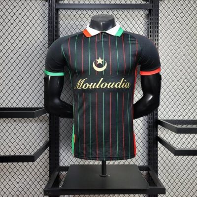 2025/2026 Player Version Palestine Special Edition Football Shirt 1:1 Thai Quality