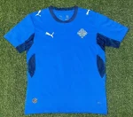 2026 Iceland Home Football Shirt 1:1 Thai Quality