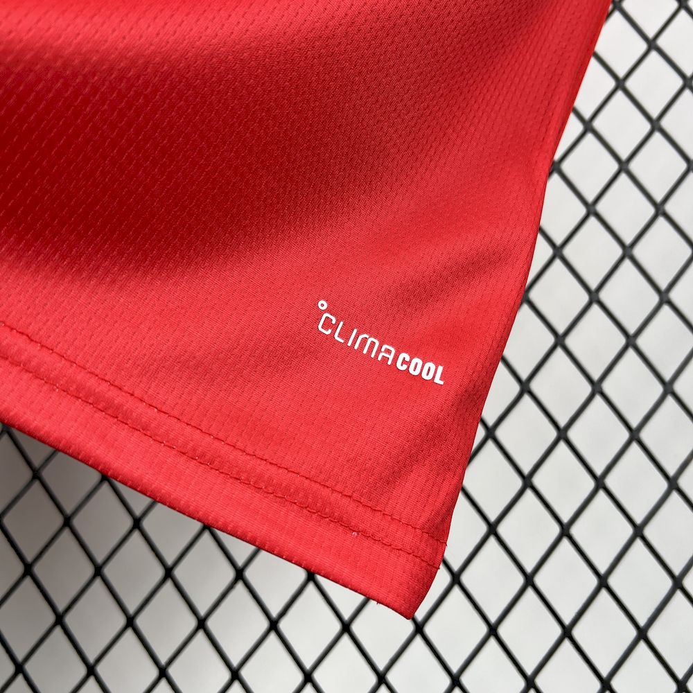 2026 Wales Home Football Shirt 1:1 Thai Quality - Image 5