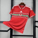 2026 Wales Home Football Shirt 1:1 Thai Quality
