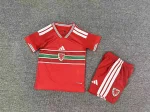2026 Wales Home Football Shirt Kids Size 1:1 Thai Quality