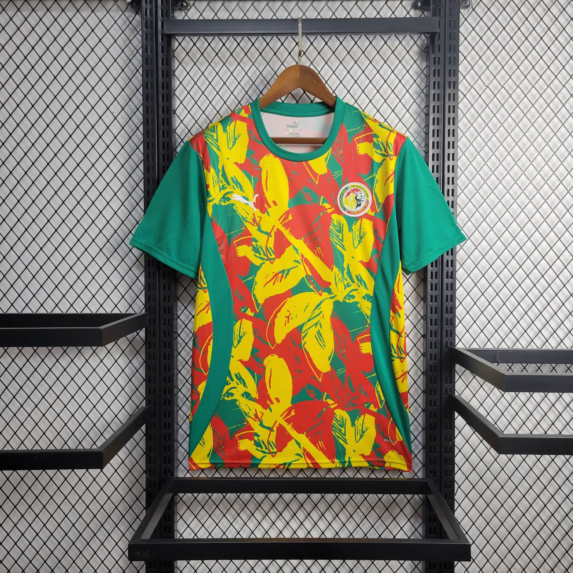 2024 Senegal Pre-Match Football Shirt 1:1 Thai Quality