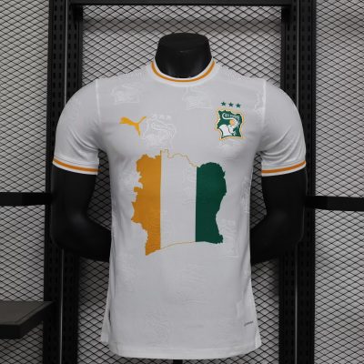 2024 Player Version Ivory Coast Special Edition Football Shirt 1:1 Thai Quality