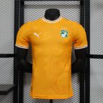 2024 Player Version Ivory Coast Special Edition Football Shirt 1:1 Thai Quality