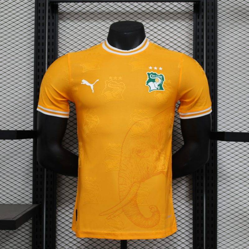 60992ffc896999fa97d61fa32cddf3dd 2024 Player Version Ivory Coast Special Edition Football Shirt 1:1 Thai Quality
