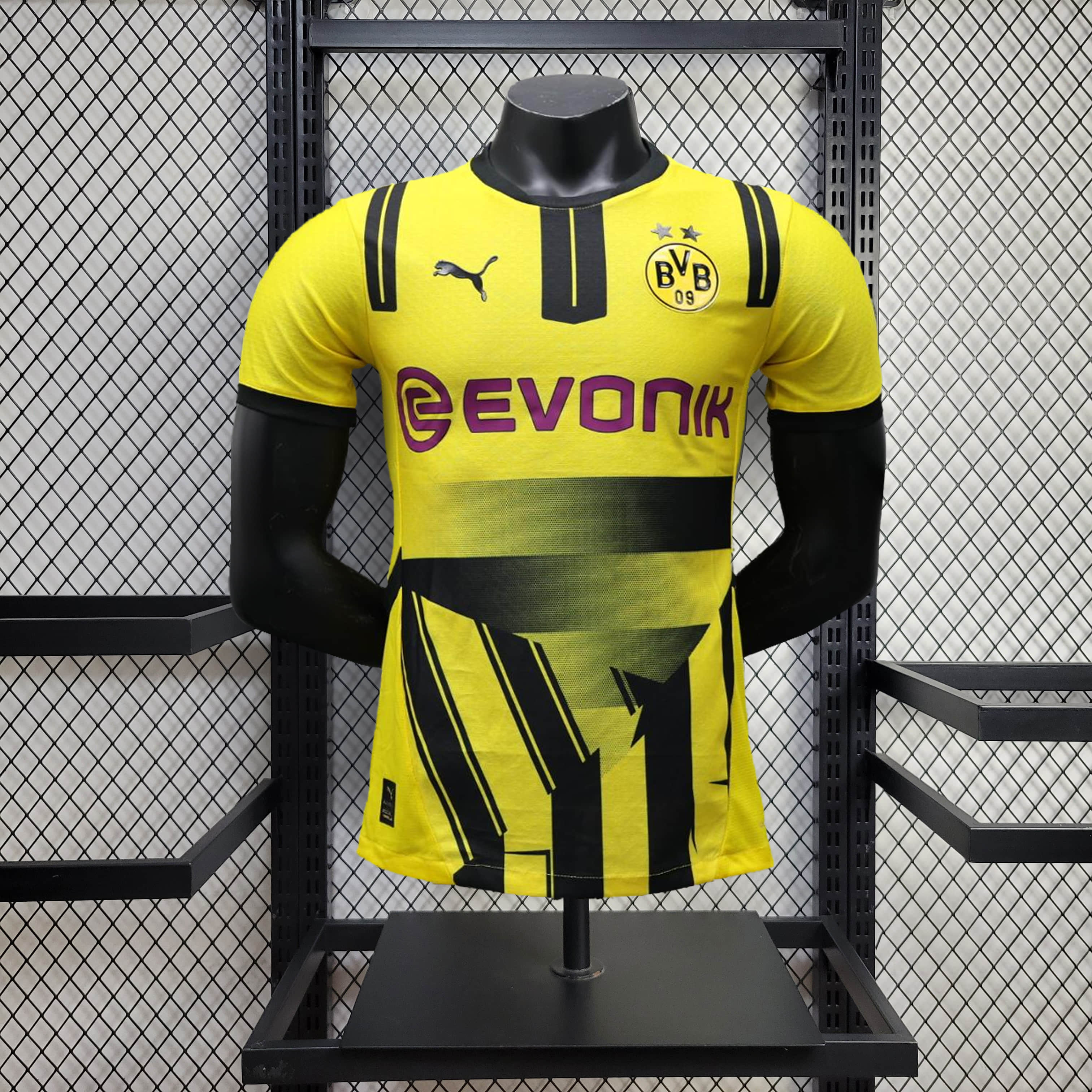 2024/2025 Player Version Dortmund Special Edition Football Shirt 1:1 Thai Quality