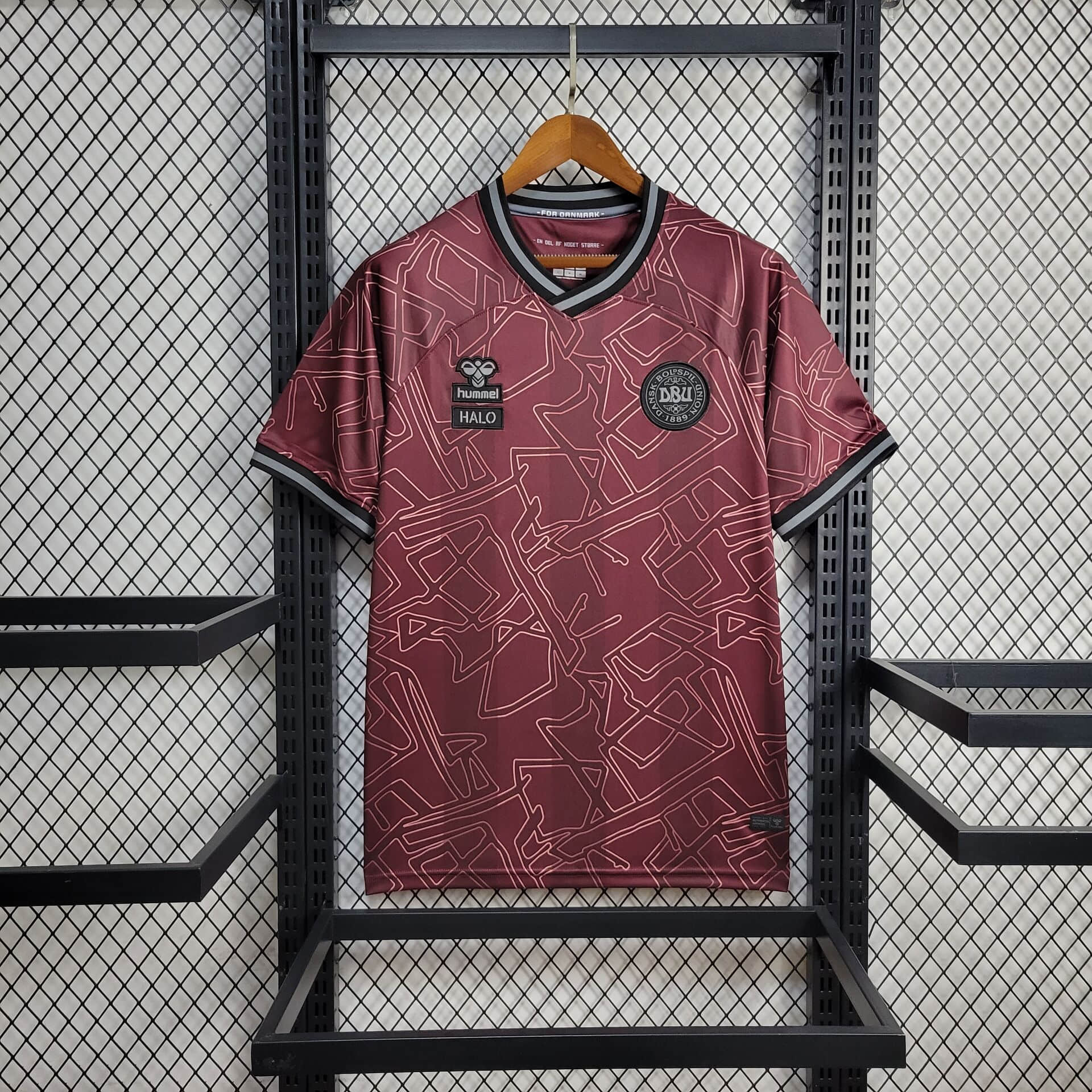 2024 Denmark Special Edition Football Shirt 1:1 Thai Quality