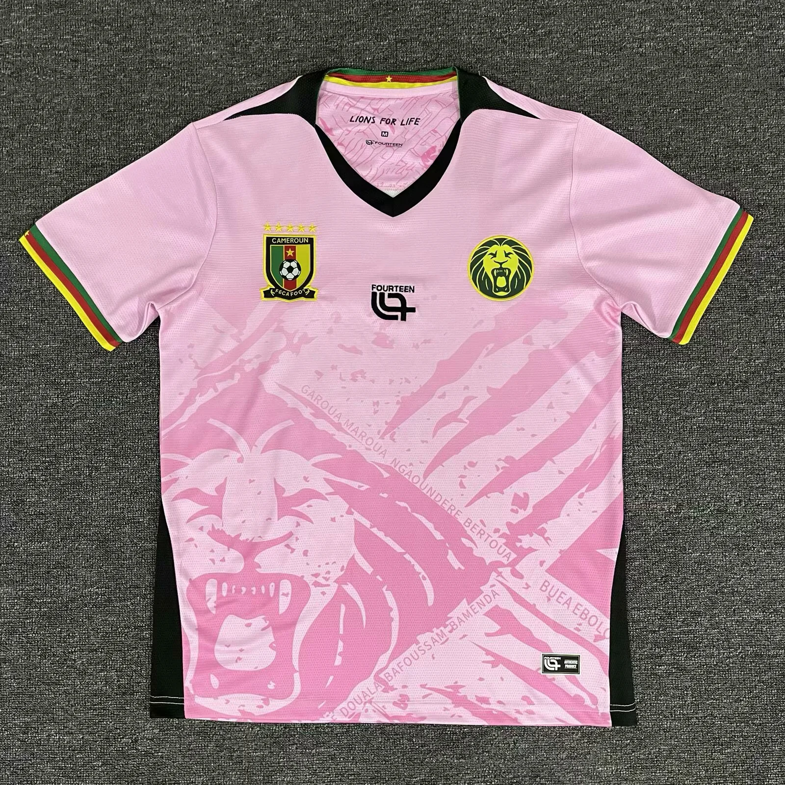 aee81e837deb9aa73ea6c0f741b70725 2025 Cameroon Training Wear Football Shirt 1:1 Thai Quality