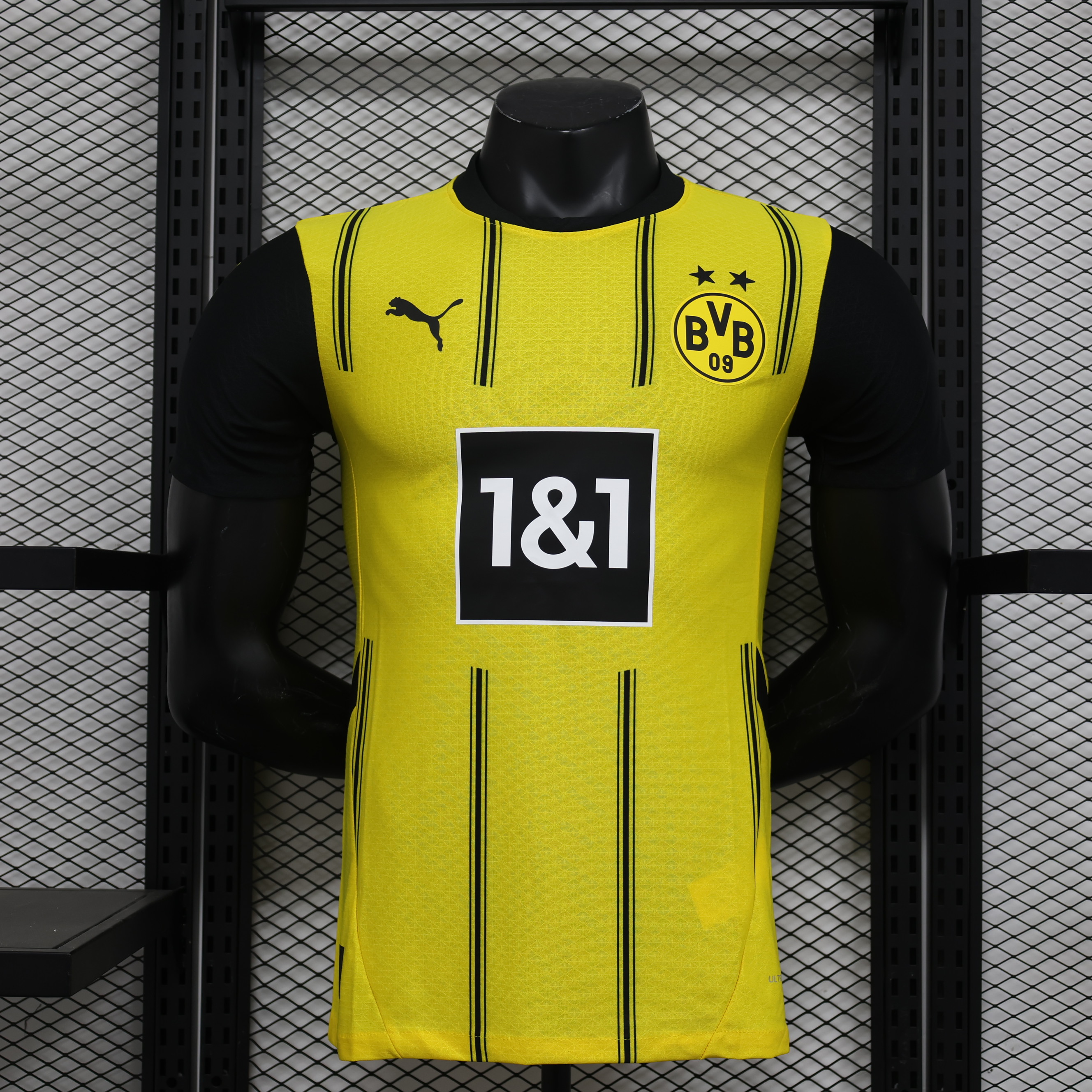 yljersey