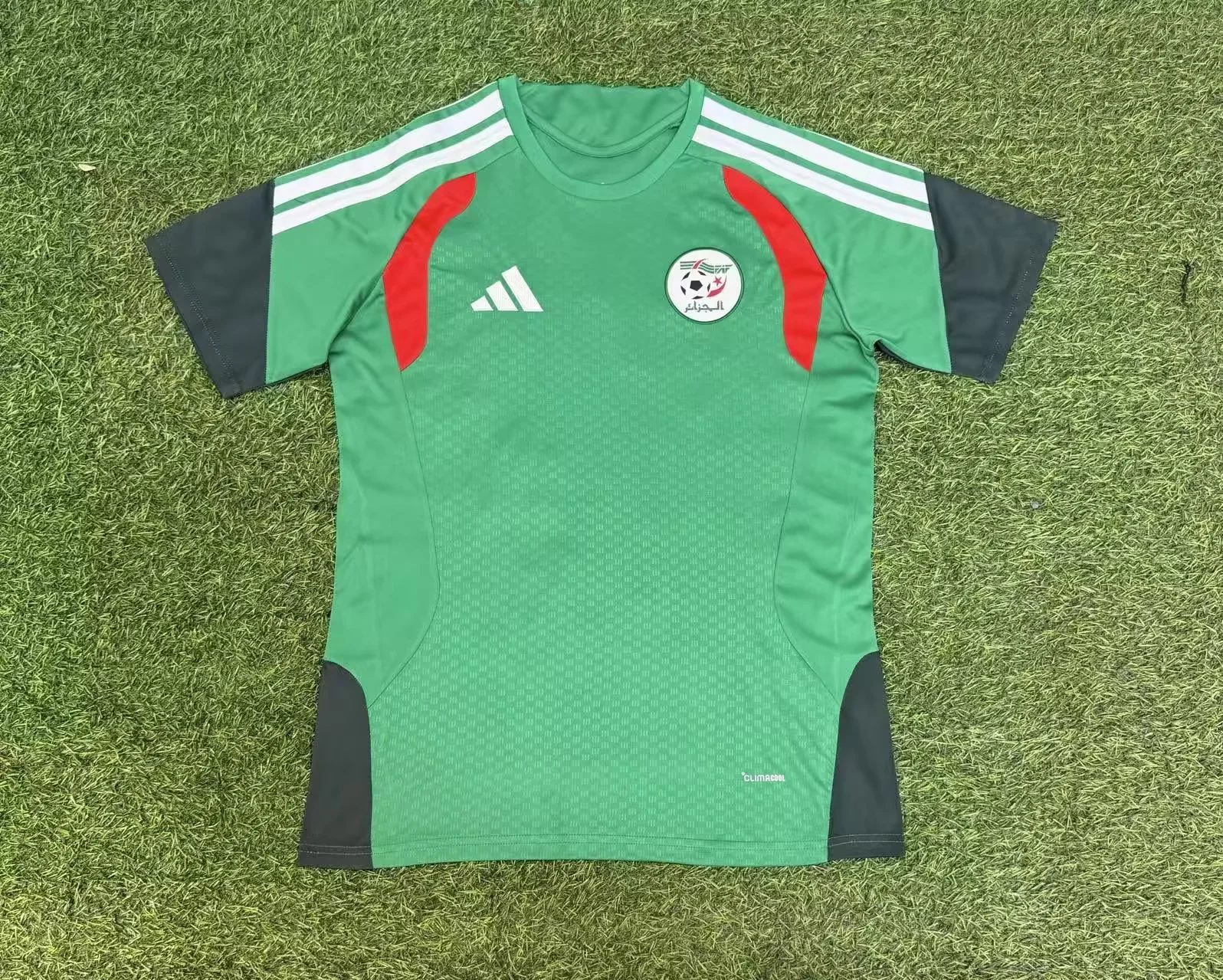 yljersey